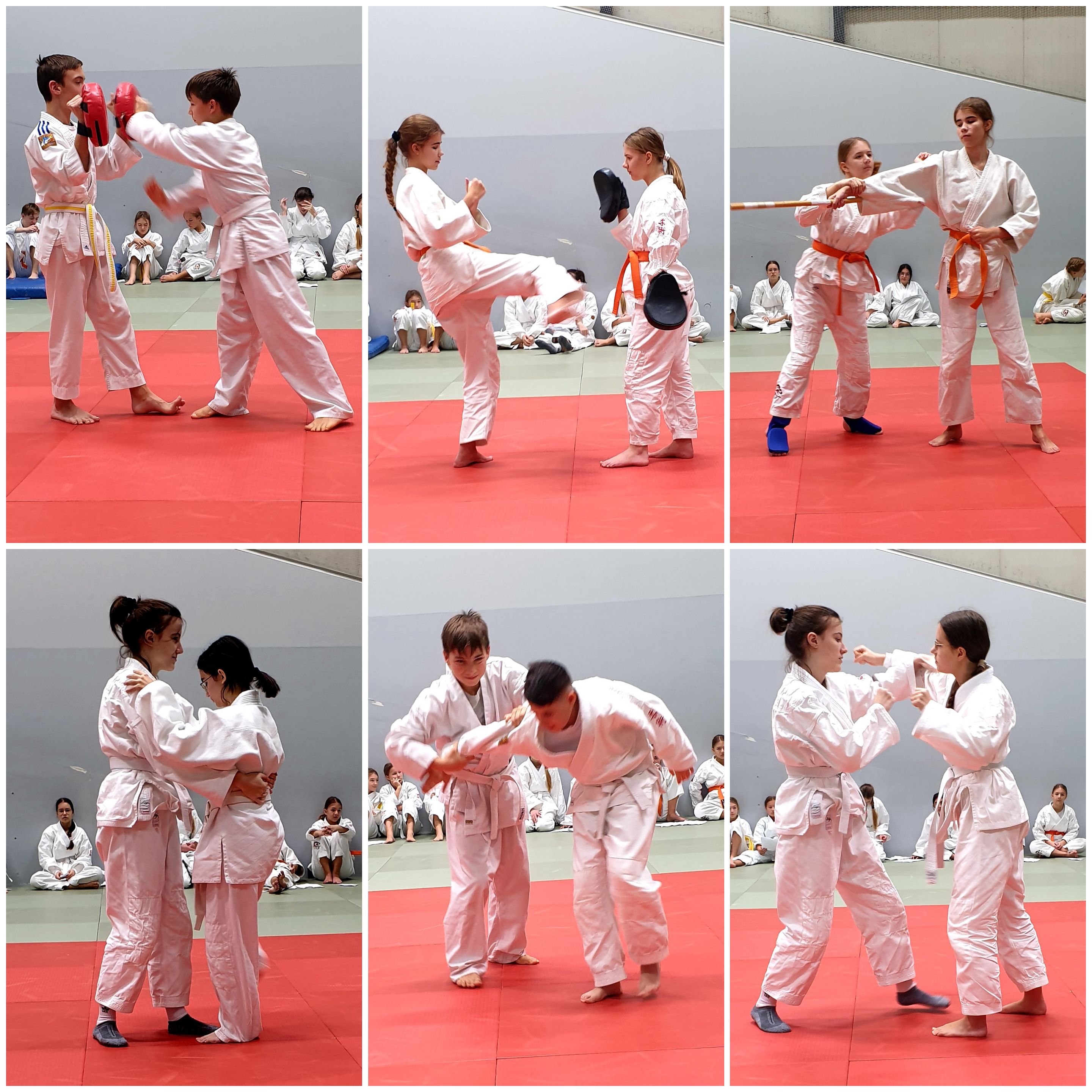 Panter Prufung2024 2